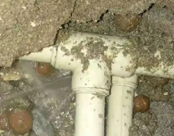 元谋测漏水多少钱