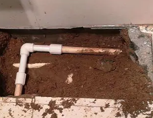 元谋测漏水哪家好