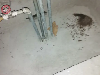 元谋卫生间测漏水价格明细