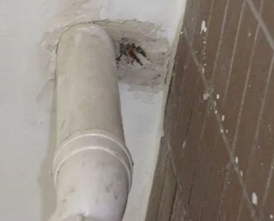 元谋漏水检测哪家好